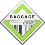 Baggage Pin