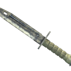 ★ Bayonet | Stained (Battle-Scarred)