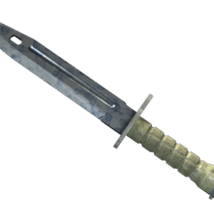 ★ Bayonet | Stained (Factory New)
