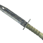 ★ Bayonet | Stained (Field-Tested)