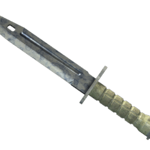 ★ Bayonet | Stained (Field-Tested)