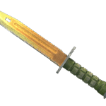 ★ Bayonet | Lore (Well-Worn)