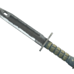 ★ Bayonet | Night (Battle-Scarred)