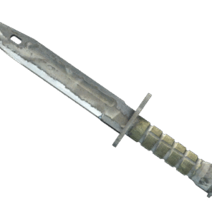 ★ Bayonet | Urban Masked (Battle-Scarred)